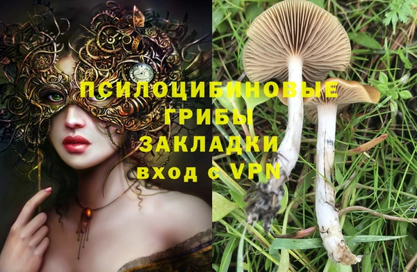 амф Вязники
