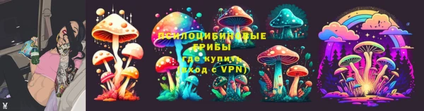 прущие грибы Вязьма