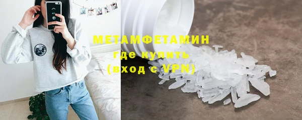 прущие грибы Вязьма
