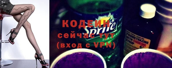 прущие грибы Вязьма