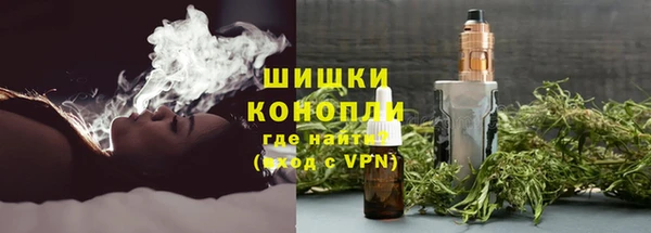 стафф Вяземский