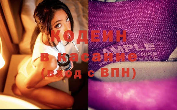 прущие грибы Вязьма