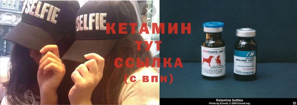 стафф Вяземский