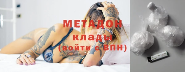 прущие грибы Вязьма