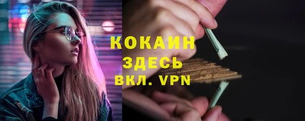 стафф Вяземский