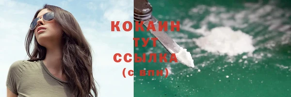 прущие грибы Вязьма