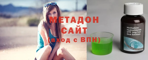 прущие грибы Вязьма