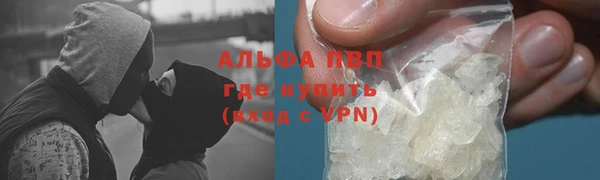 стафф Вяземский