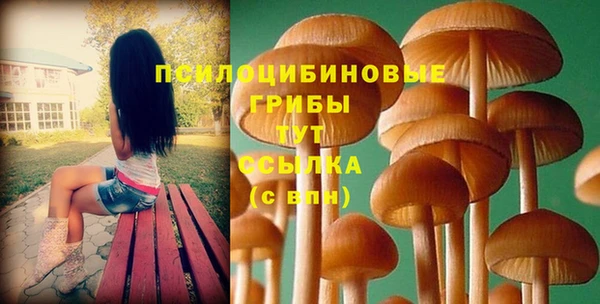 амф Вязники