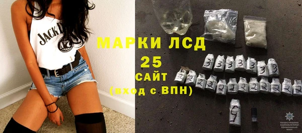 стафф Вяземский