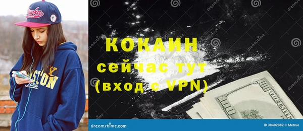 прущие грибы Вязьма