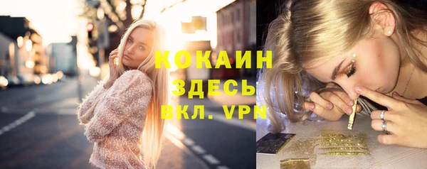 прущие грибы Вязьма