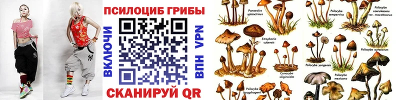 закладки  Чехов  Псилоцибиновые грибы мухоморы 